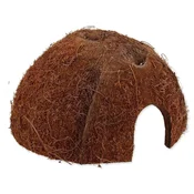 REPTI PLANET Coco Shell M