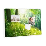 tulup.si Plošča iz plute Pomladna narava 60x40 cm Barvito zatiči