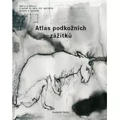 Atlas podkožních zážitků / K problematice viděného