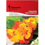 Seme Kapucinka nizka-mešanica