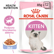 Royal Canin | Cat Kitten hrana za mladiče v želeju