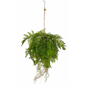 Shishi Viseča praprot zelena 75 cm