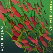 Moody Beaches - Acid Moon (LP)