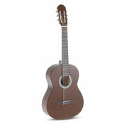 KLASIČNA KITARA GEWA BASIC 4/4 WALNUT