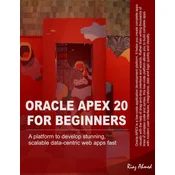 Oracle APEX 20 For Beginners