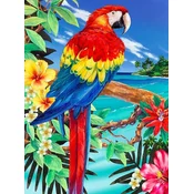 Royal & Langnickel Slikanje po številkah Scarlet Macaw