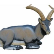 SRT Target 3D Iberian Ibex Bedded