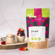 Psilium - indijski trpotec bio 200g