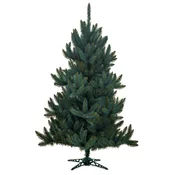 Božično drevo Smreka Srebrna 250cm