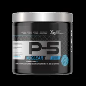 NO P-5 / 300GR BASIC SUPPLEMENTS - Sour Blue Raspberry