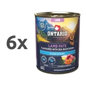 Ontario Dog Adult konzerva, pašteta - jagnjetina in rakitovec 6 x 800 g