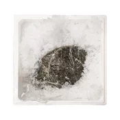 Romb, neočiščen, 0,8-1 kg, svež