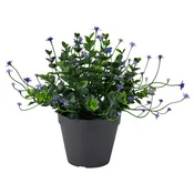 FEJKA Umetna lončnica, notranji/zunanji/cvetenje lila, 12 cm