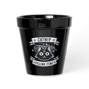 Dekoracija (cvetlični lonček) ALCHEMY GOTHIC - Catnip - GPP3