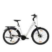 TTGO Električno kolo TTGO Z5, 250 W, srednji pogon, baterija 36 V 18 Ah, bela, (5000234160)