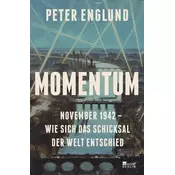 Momentum