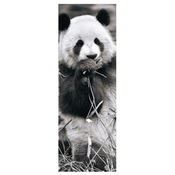 Dino - Puzzle Panda v tráve - 1 000 kosov