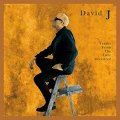 David J - Tracks From The Attic Revisited (LP)