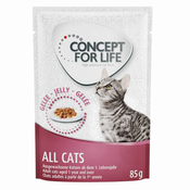 12x85 g Concept for Life All Cats za mačke - v želeju
