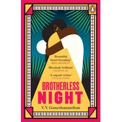 Brotherless Night