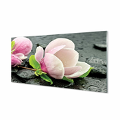 tulup.si Stenska plošča za kuhinjo Magnolia kamni 125x50 cm