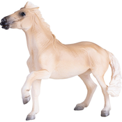 Moj konj Brumby Mare
