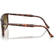 Ray-Ban Naocare za sunce RB 2216 14290A
