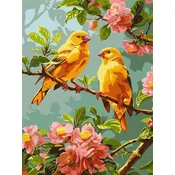 Rayher. Slikanje po številkah, Spring canaries