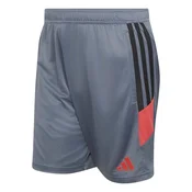 Adidas TIRO ES SHO, muške hlace, siva WF919