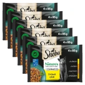 Sheba Natures Collection Konzervice s piletinom u želeu 6 x (4 x 85 g)