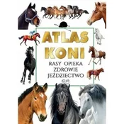 Atlas koni