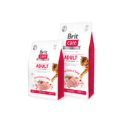 Brit Care Adult Activity Support 2 kg