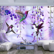 Samoljepljiva foto tapeta - Flying Hummingbirds (Violet) 147x105