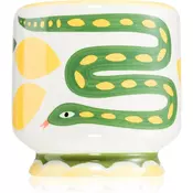 Paddywax A Dopo Snake dišeča sveča 226 g