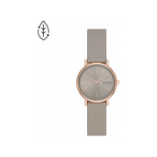 Skagen Ročna ura SKW3060