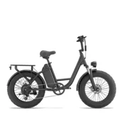 URLIFE Električno kolo URLIFE E20 Pro, 20-palčno debelo kolo, 48 V 15,6 Ah odstranljiva baterija, črna, (5000255681)