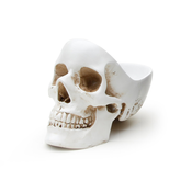Dekoracija (skleda) SUCK UK - WHITE SKULL - SK TIDYSKULL1