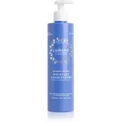 Lumene Lahde Regenerator za suhu kosu Nordic Hydra, 290 ml