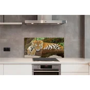 tulup.si Stenska plošča za kuhinjo Tiger drevo 125x50 cm