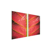 shumee Steklena zaščitna plošča za štedilnik 2x45x52 Leaf