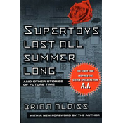 Supertoys Last All Summer Long