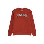 Jack & Jones Junior Majica JJECALEB rjasto rjava/črna/bela