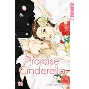 Promise Cinderella 16