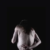 jj - V (LP)