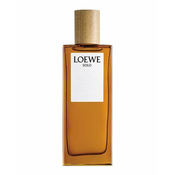 Loewe Solo Loewe Edt Spray 150ml