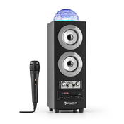 Auna DiskoStar Silver, prijenosni Bluetooth zvucnik, USB, baterija, LED, mikrofon