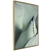 Poster - Young Leaf of Agave 30x45