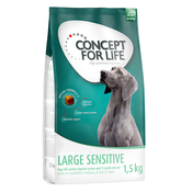 Concept for Life suha pasja hrana 4 x 1 kg/1,5 kg po posebni ceni! - Large Sensitive 6 kg (4 x 1,5 kg)