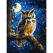 Rayher. Slikanje po številkah, Night owl, s kovinskimi barvami