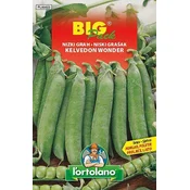 NIZKI GRAH KELVEDON WONDER - Big pack - 40g